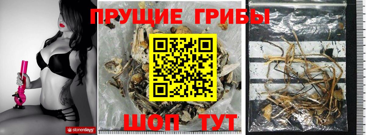 купить наркотик  Псилоцибиновые грибы мицелий  Минусинск  Вход с VPN  Псилоцибиновые грибы мицелий 